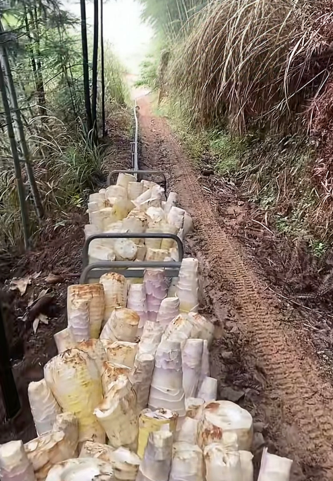 _2025_9_shizq20259161511219821814