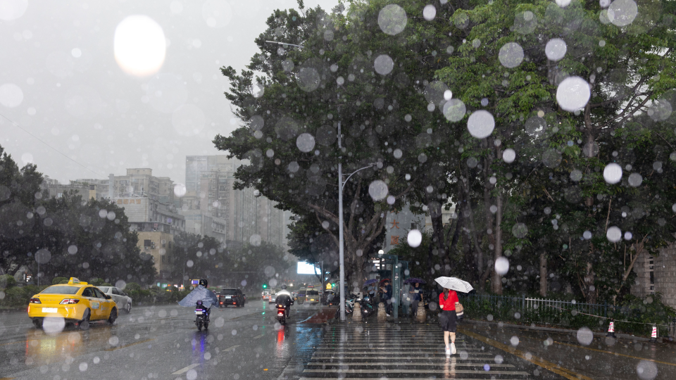 陈忧子.png 陈忧子.png