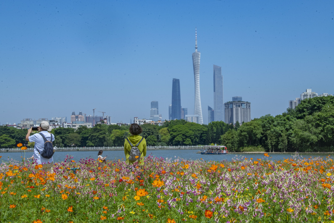 11、海珠湖.jpg 11、海珠湖.jpg