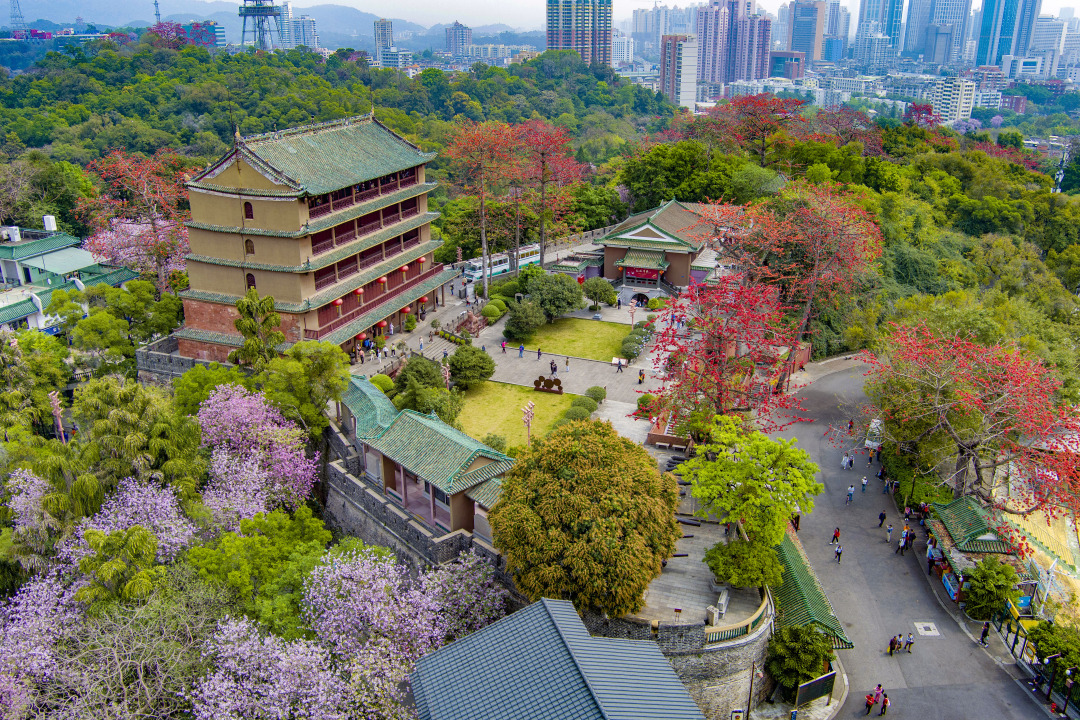 12、越秀山.jpg 12、越秀山.jpg