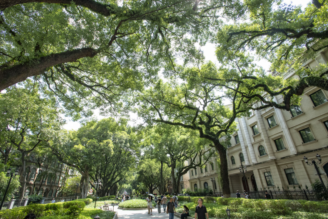 13、沙面岛.jpg 13、沙面岛.jpg