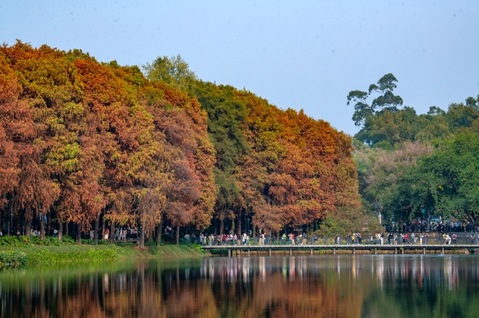 19、麓湖公园.jpg 19、麓湖公园.jpg