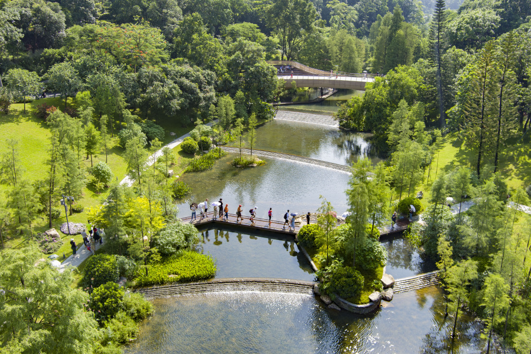 20、云萝植物园.jpg 20、云萝植物园.jpg