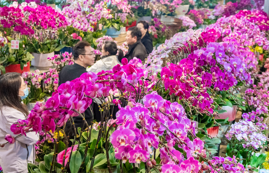 221a5cb86c4f7017885230a3fb4b293.png 221a5cb86c4f7017885230a3fb4b293.png