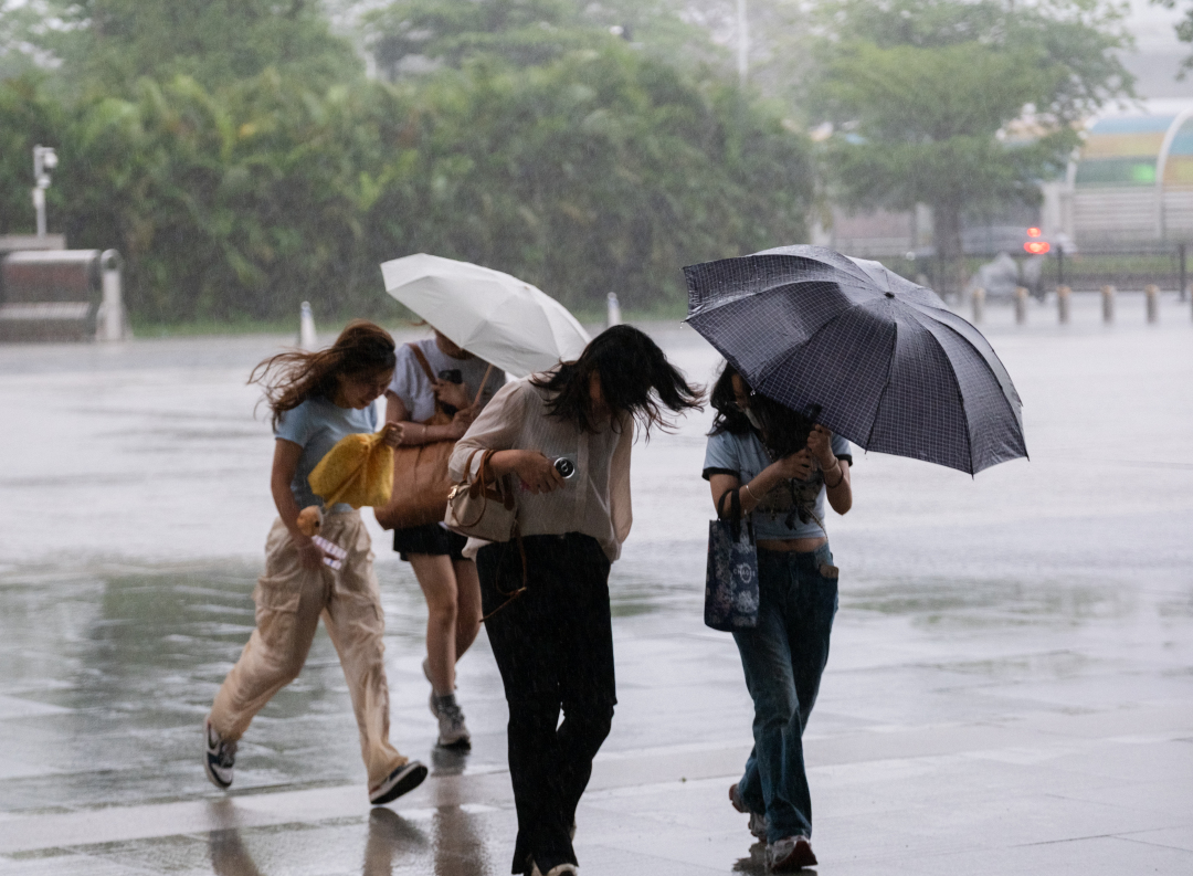 庄小龙-暴雨来袭-NEP1_20250510_C00413805506