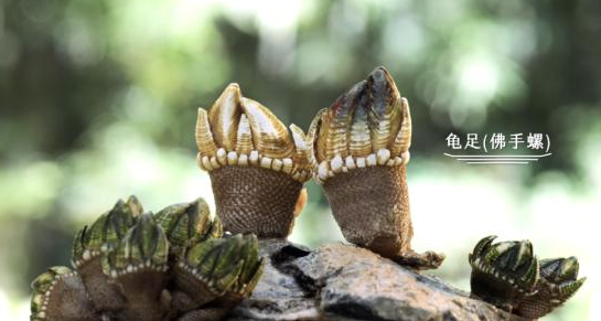 1758509607377040889.jpg 1758509607377040889.jpg