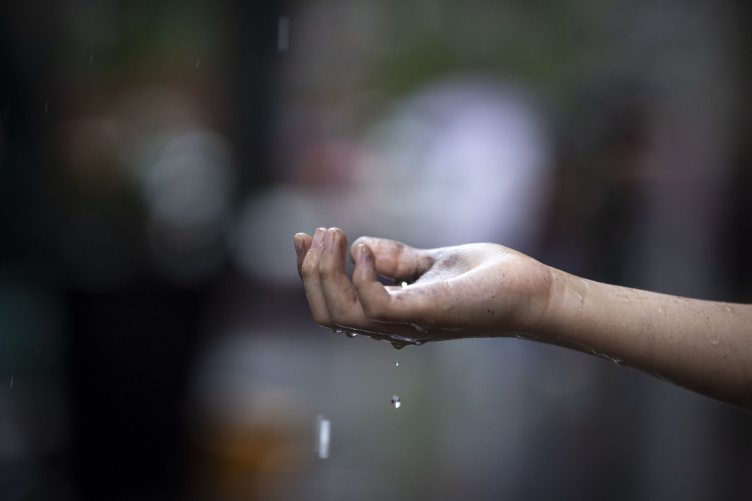 苏俊杰20250614台风蝴蝶 为广州带来降雨 (1)