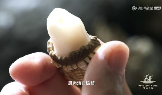 1758509700208097947.jpg 1758509700208097947.jpg