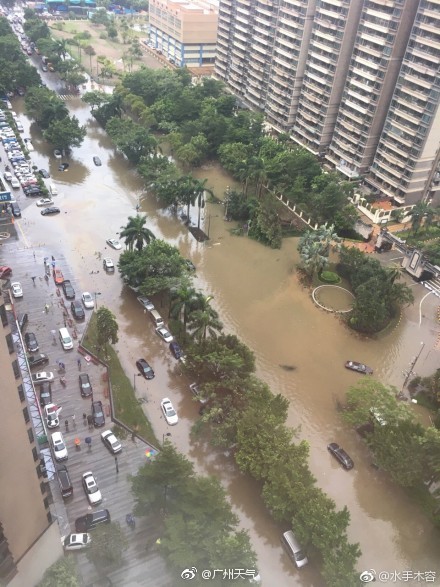 d627f35eba1f7de702c2b854ecfd7f6e.jpg d627f35eba1f7de702c2b854ecfd7f6e.jpg