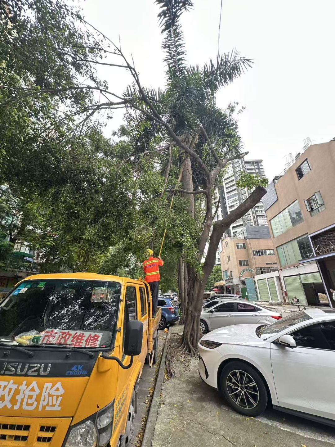 微信图片_20250923184428