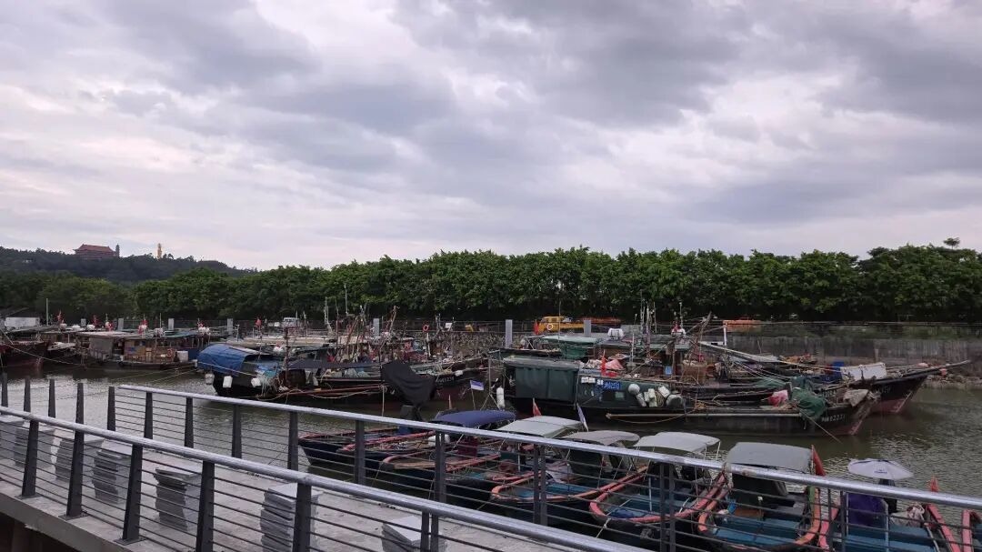 1758705766395087386.jpeg 1758705766395087386.jpeg