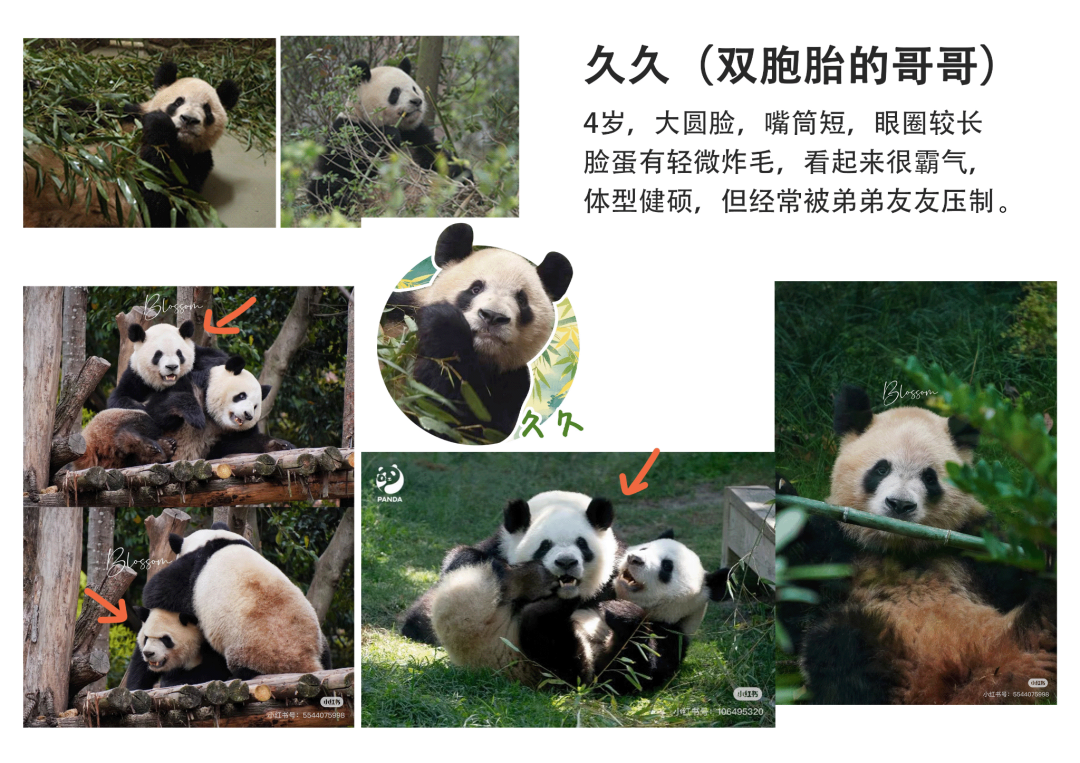 久久11.png 久久11.png