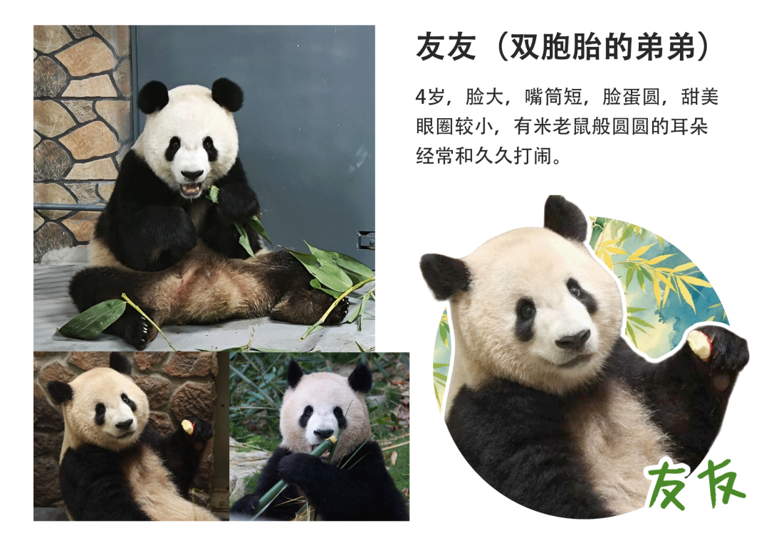 友友11.png 友友11.png