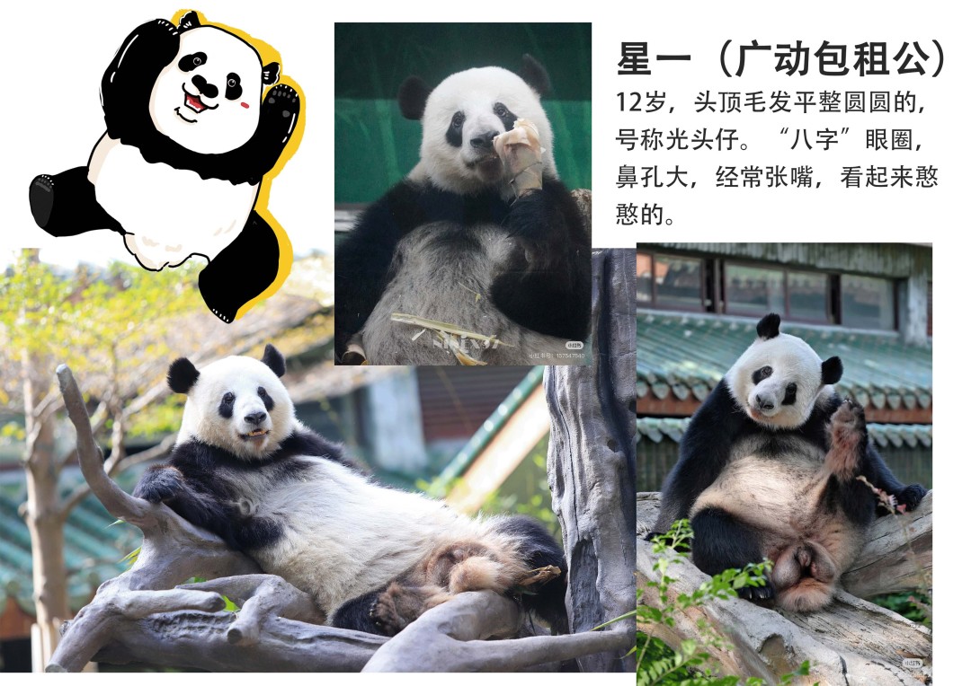 星111.jpg 星111.jpg