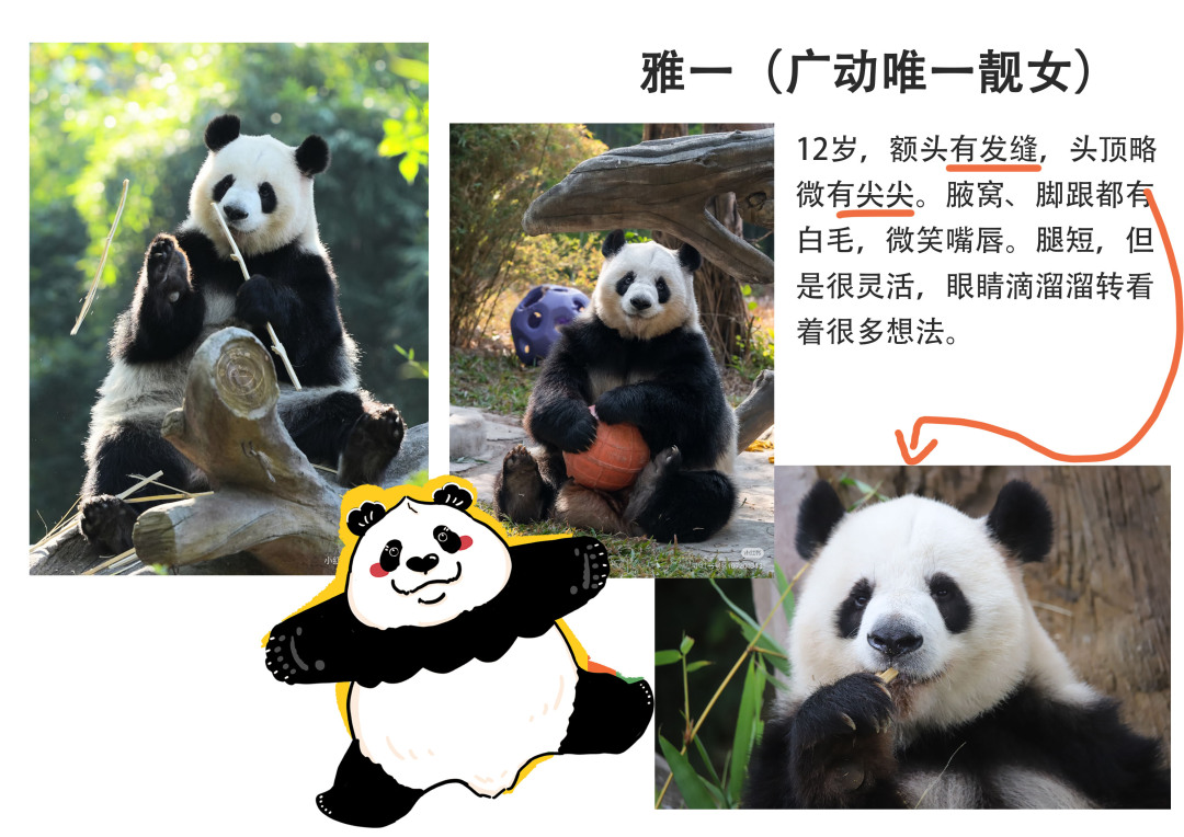 压压.jpg 压压.jpg