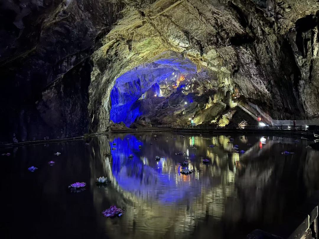 42c488194fcb348917b8995b08abe318