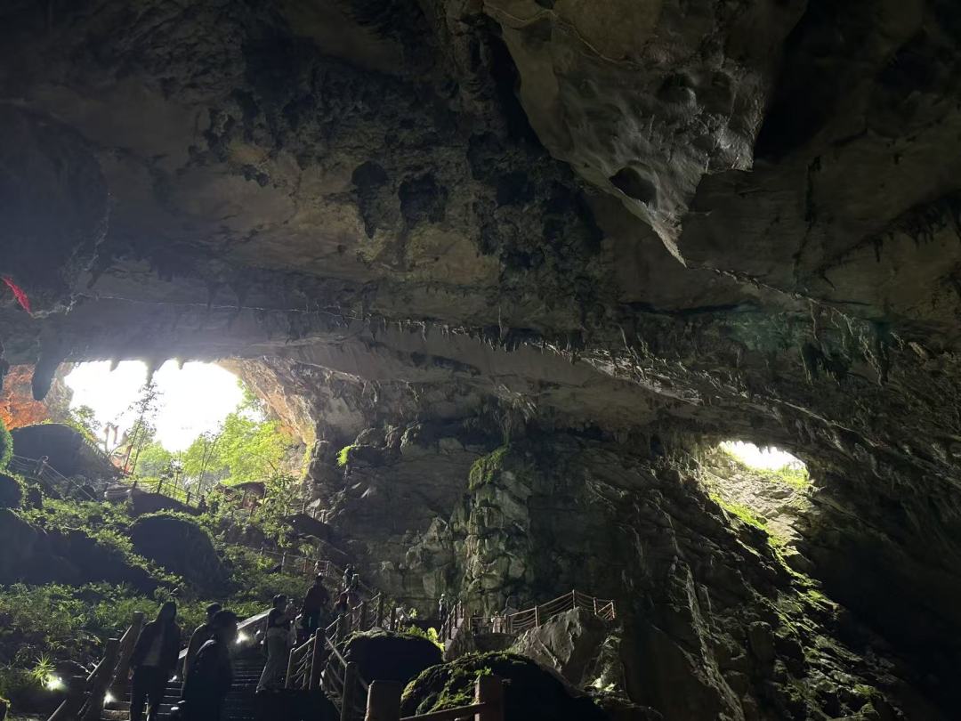 3dada7811e570c9151347dd3b1e91a5e