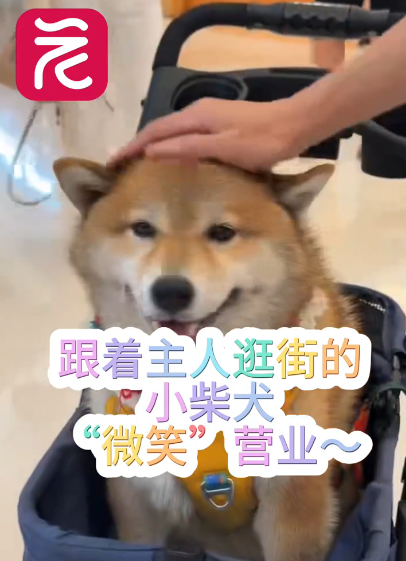 微信图片_20251004171444