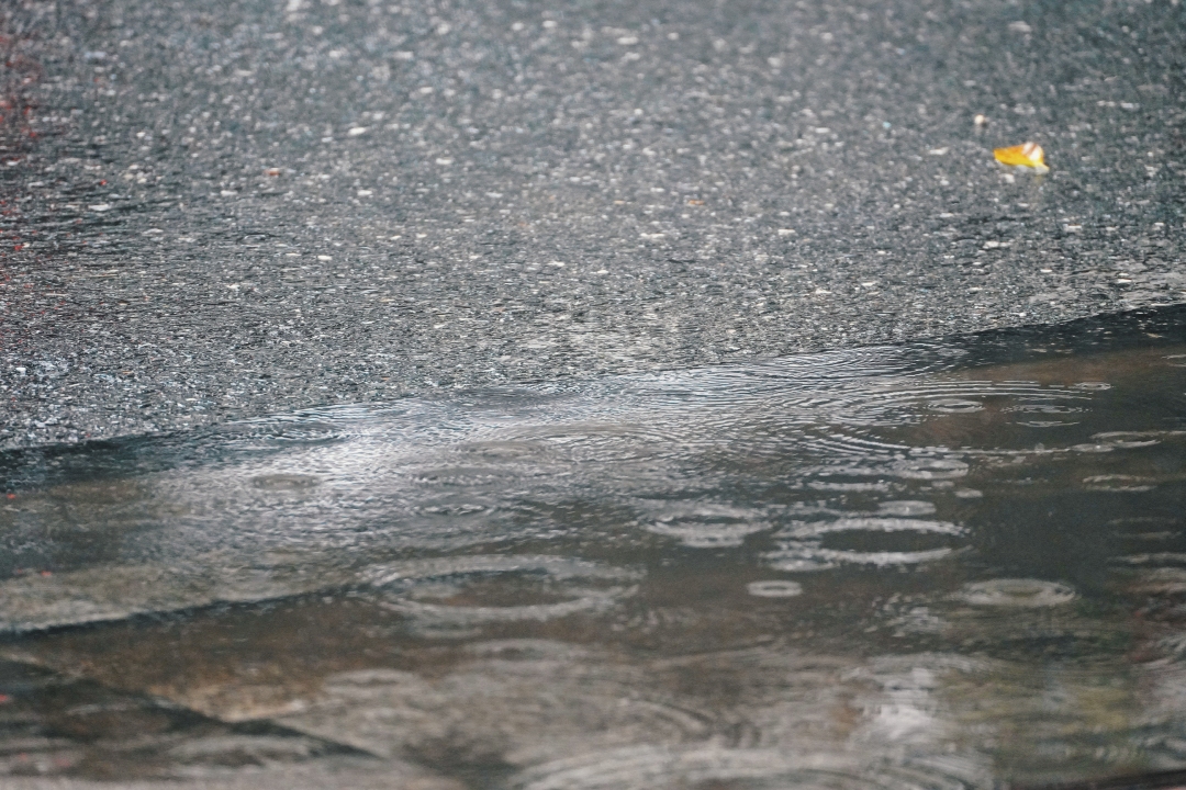 吴子良20230907台风海葵 下雨 (9)