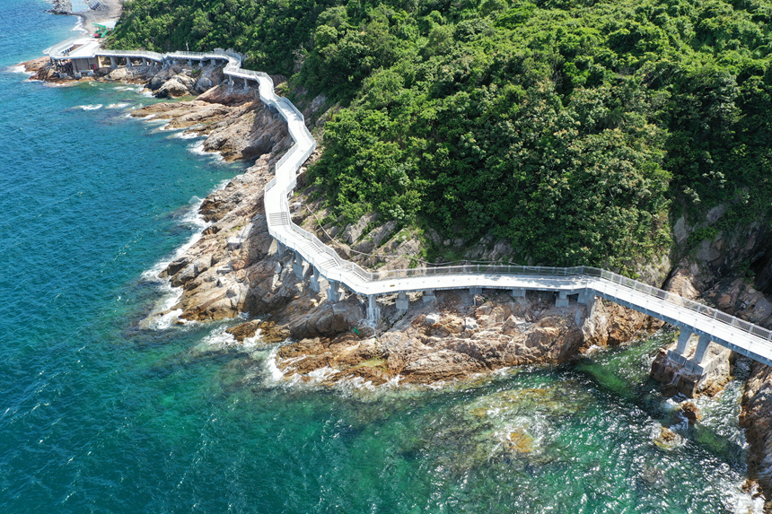 LOCAL1732711275682M8PYSPD6CL