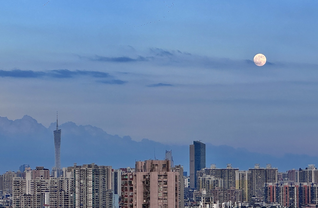 微信图片_20251006192209_12795