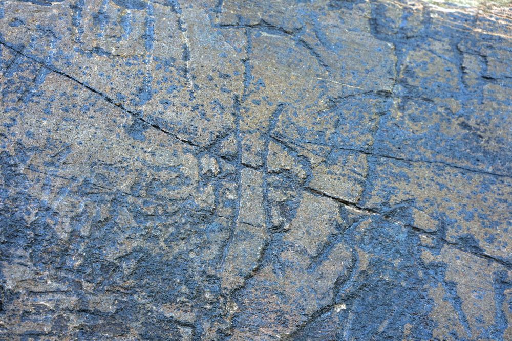 3307146cea8f4c4d87391796308efe94