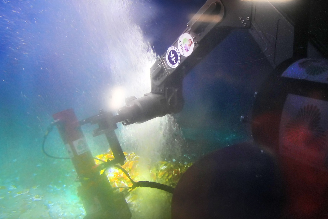 莫伟浓-十五运会和残特奥会“源火”,来自1522-FZ100214507636