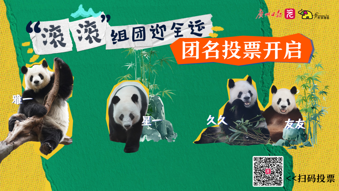 微信图片_20250928175012_25_1588.png 微信图片_20250928175012_25_1588.png