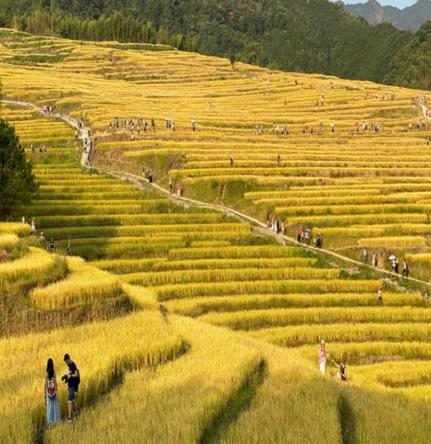 图片4.jpg 图片4.jpg