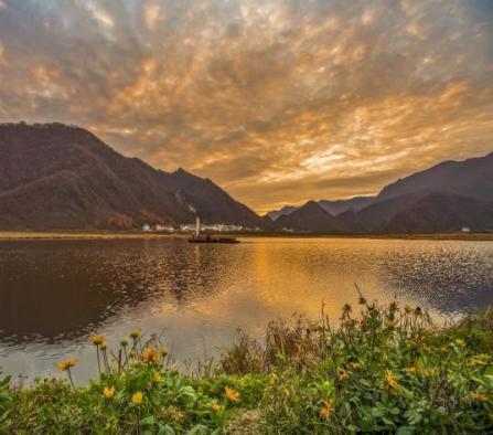 图片7.jpg 图片7.jpg