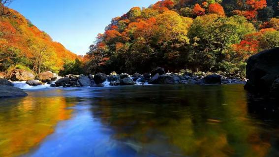 图片13.jpg 图片13.jpg