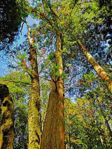 图片19.jpg 图片19.jpg