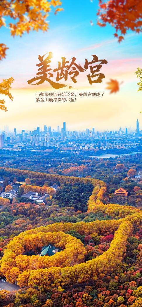 图片24.jpg 图片24.jpg