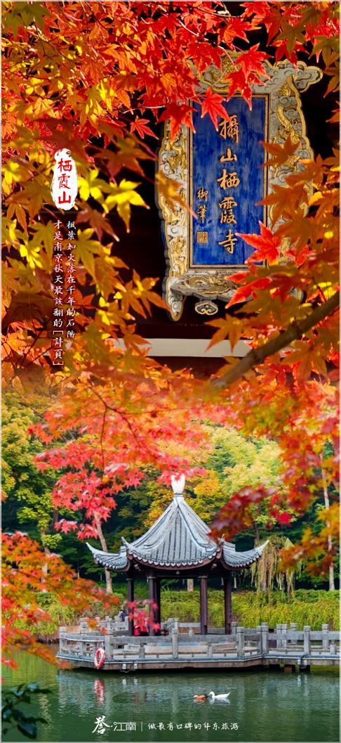 图片25.jpg 图片25.jpg