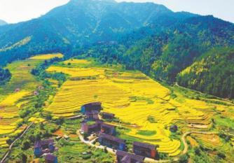 图片27.jpg 图片27.jpg