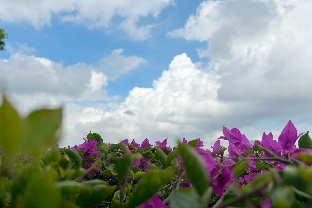 binary_large - 2025-10-15T193025.750