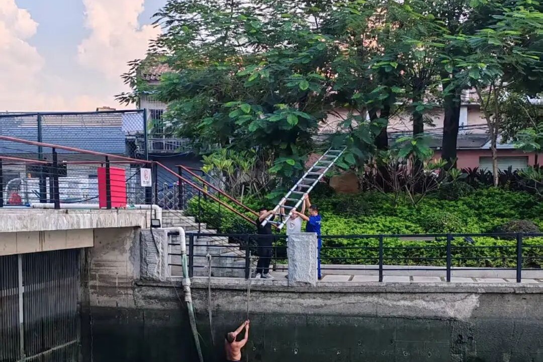 1760498572578016622.jpeg 1760498572578016622.jpeg