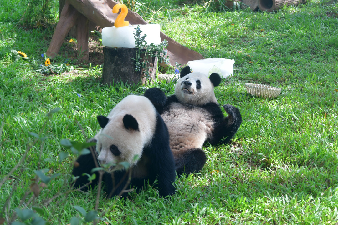 ca3eac58ecfbdf7347a2d1ad7ed797f.jpg ca3eac58ecfbdf7347a2d1ad7ed797f.jpg