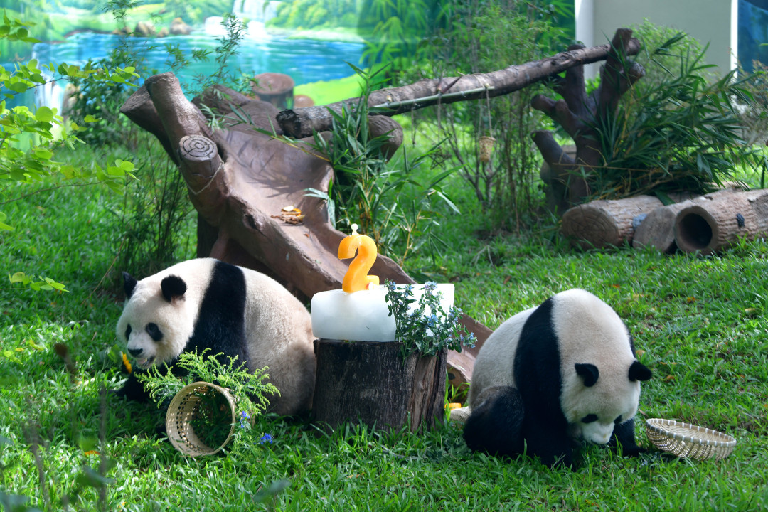 d00244f9fd8526c0b89f098cea20c70.jpg d00244f9fd8526c0b89f098cea20c70.jpg