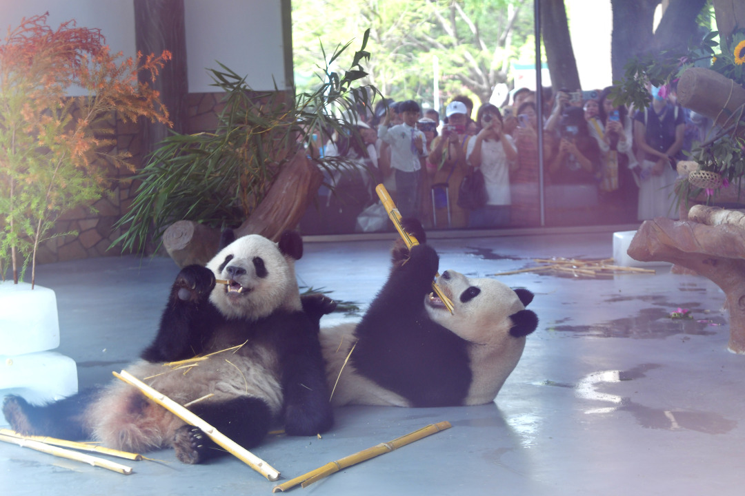 2553eb278e33be1fd94a36a4c185ee2.jpg 2553eb278e33be1fd94a36a4c185ee2.jpg