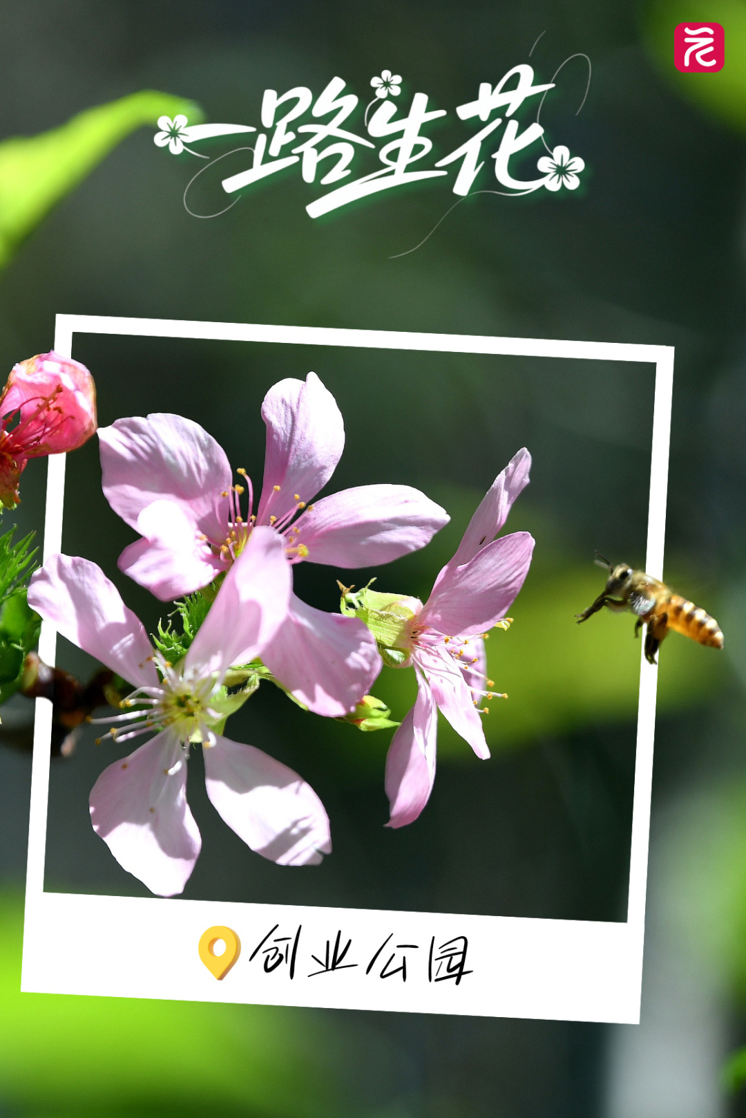 早安你好每日一签励志图文风手机海报__2025-10-20+15_36_14.jpg 早安你好每日一签励志图文风手机海报__2025-10-20+15_36_14.jpg