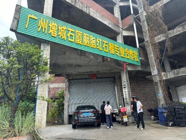 image009.jpg image009.jpg