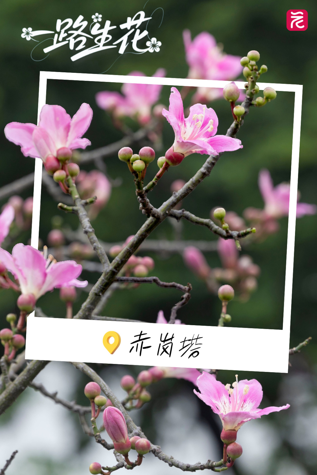 早安你好每日一签励志图文风手机海报__2025-10-21+13_28_14.jpg 早安你好每日一签励志图文风手机海报__2025-10-21+13_28_14.jpg