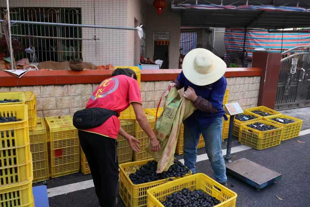 微信图片_20251023212014_777_16