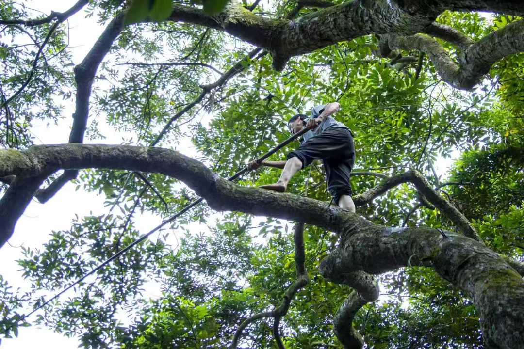 微信图片_20251023212009_773_16