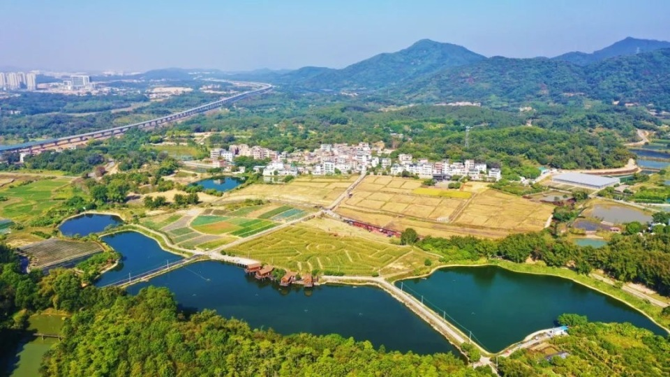 93b554758dbe4ab0a146fec26a073389