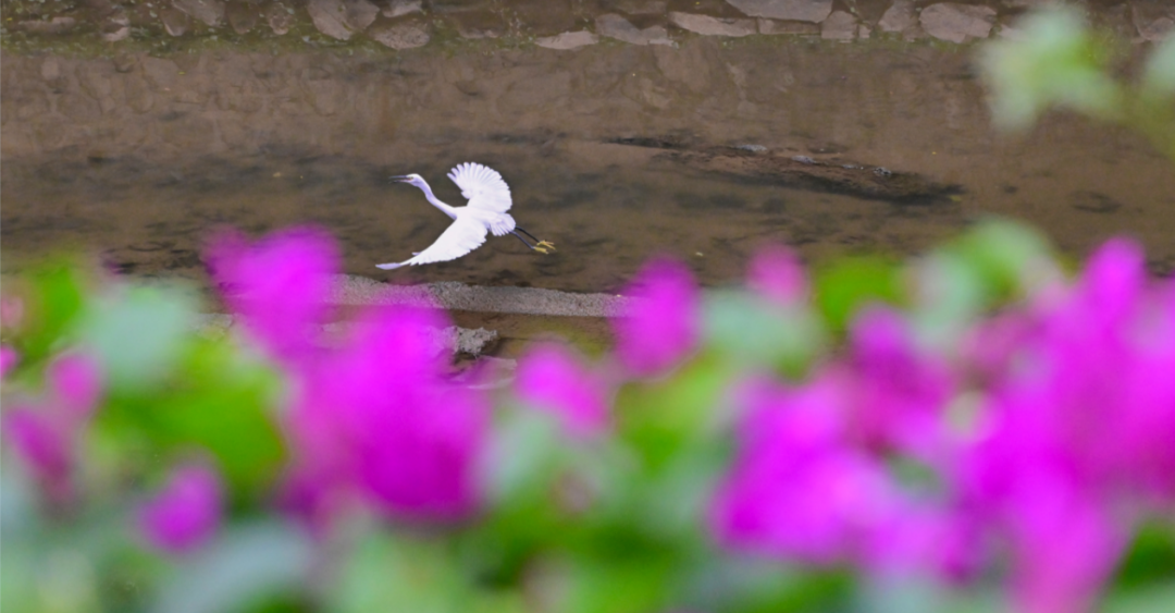 微信图片_20251101192606