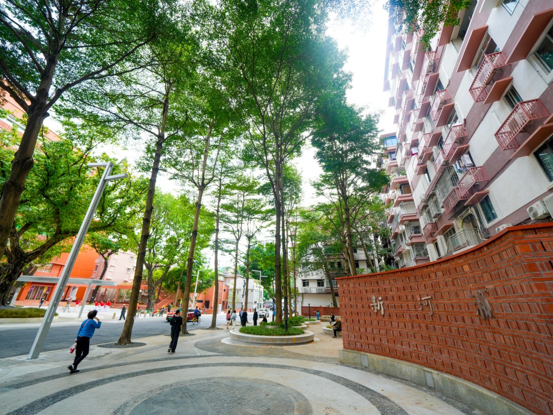 新河浦社区品质提升