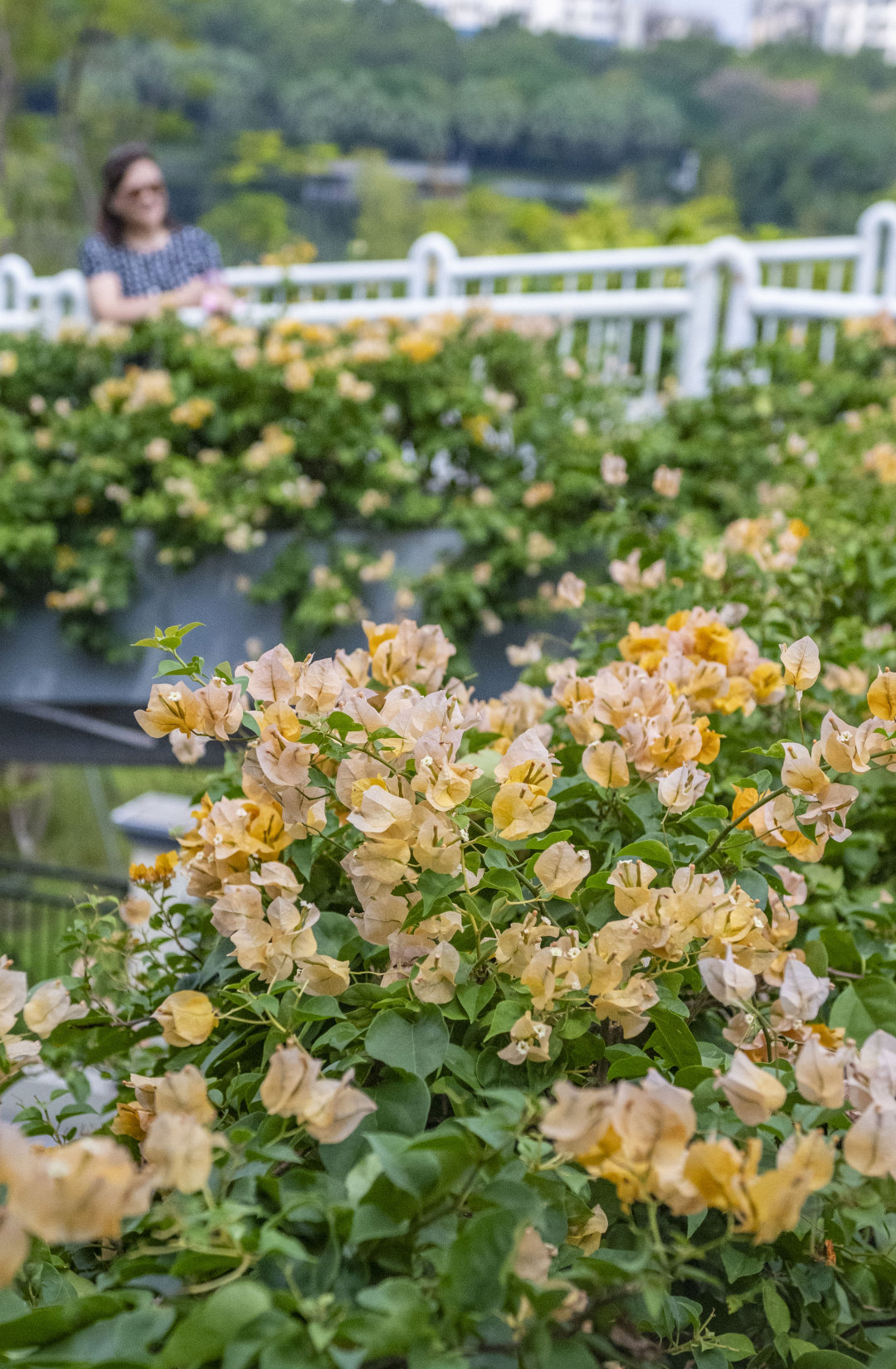 廖雪明-lxm2510172 (1)-NEP1_20251113_C00414684186.jpg