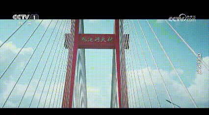 lv_0_20251113020138.gif